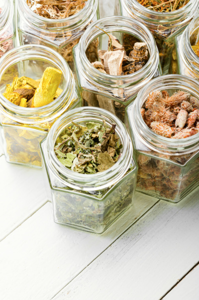 healing herbs or medicinal herbs