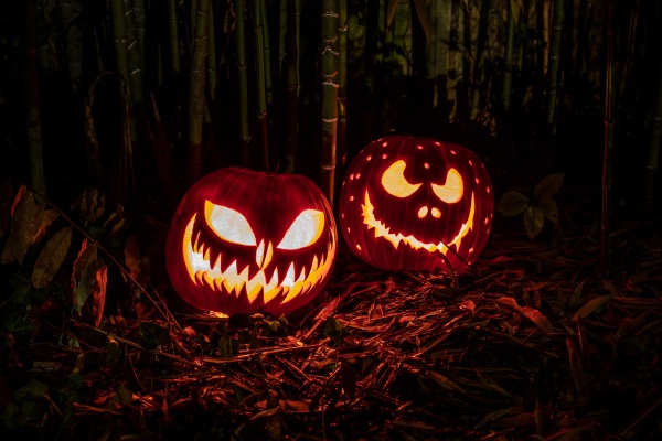 halloween pumpkins lanterns with scary expression