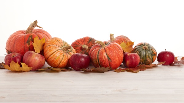 thanksgiving, background, , autumn, harvest - 28848266