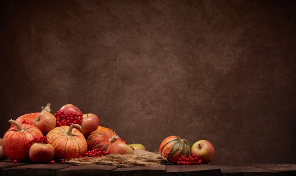 thanksgiving, background, , autumn, harvest - 28848274