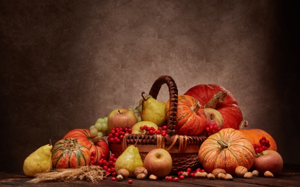 thanksgiving, background, , autumn, harvest - 28848278