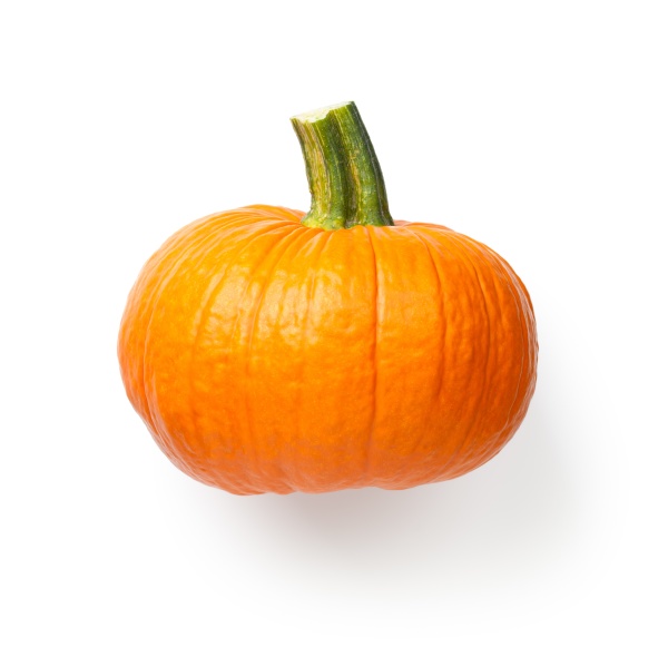 fresh pumpkin vegetable isolated over white