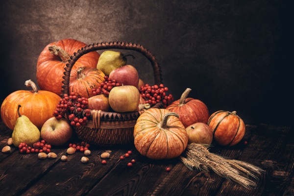 thanksgiving background autumn harvest