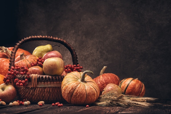 thanksgiving, background, , autumn, harvest - 28881463