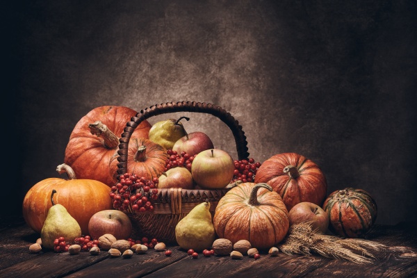 thanksgiving, background, , autumn, harvest - 28881468