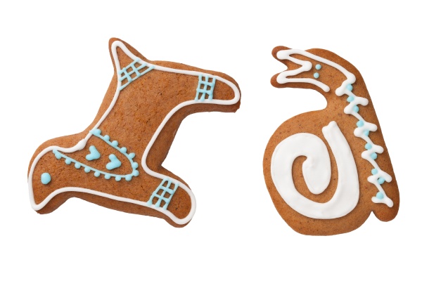 gingerbread dog and snail cookies isolated