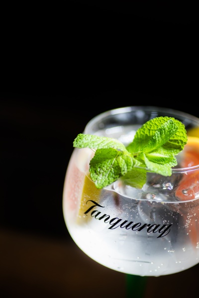 tanqueray gin and tonic cocktail
