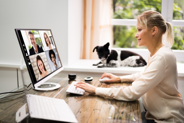 online video conference call