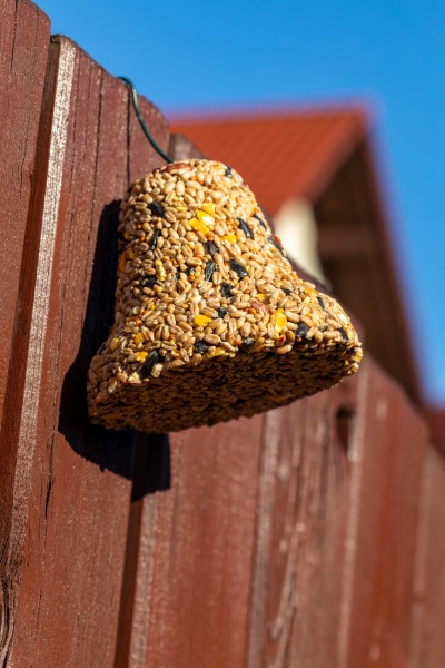 bell from various grains a