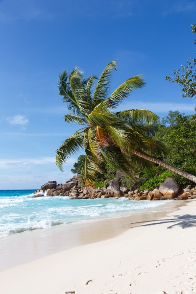 seychelles anse georgette beach praslin island