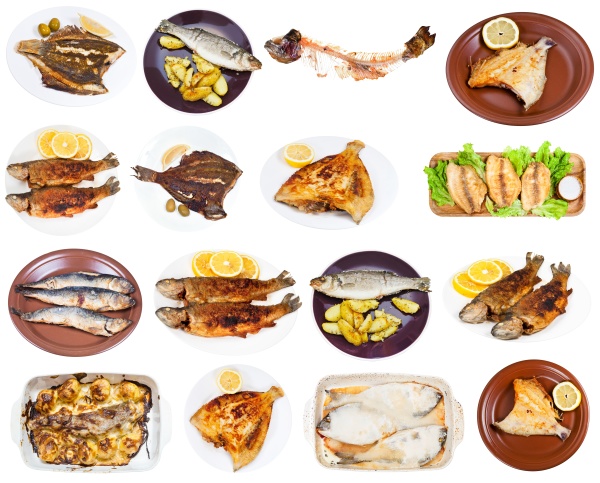 set of various fried fishes isolated