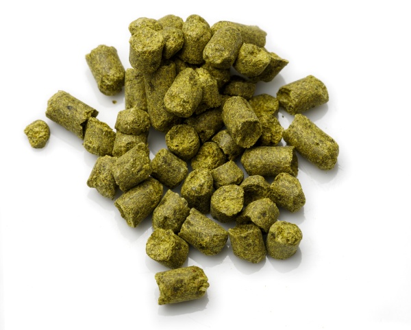 hop pellets for brewing on white