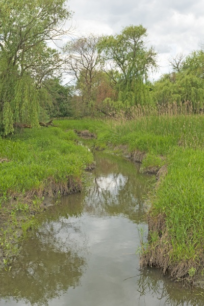 quiet stream in a nature preserve