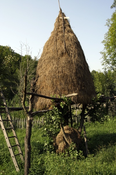 agriculture and farming in romania