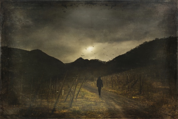 man walking on way vineyard