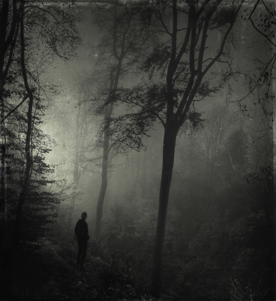 man standing in gloomy forest