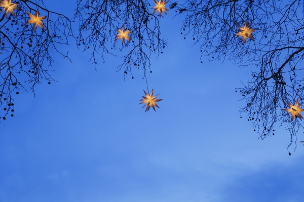 lighted christmas stars hanging in branches