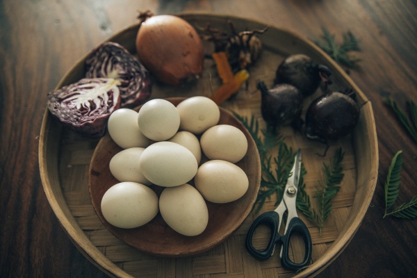 preparation of organically coloredeaster eggs