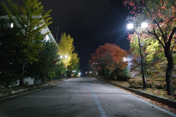 night view of a paved pedestrian