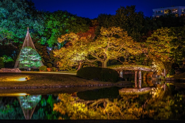 daimyo garden of rikugien autumn