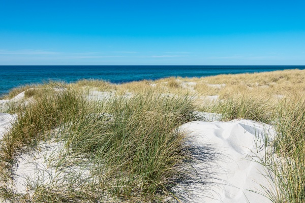 landscape with dune on the baltic