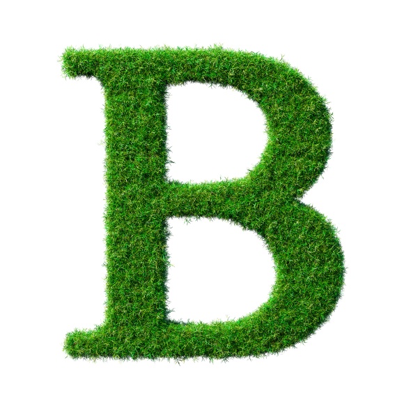 letter b made of green grass