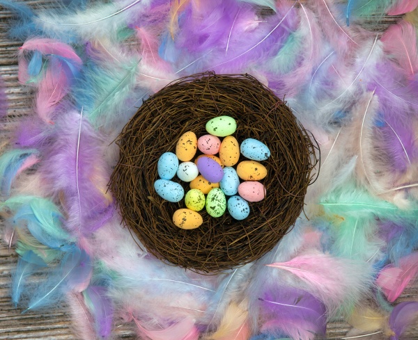 colorful easter eggs in bird nest