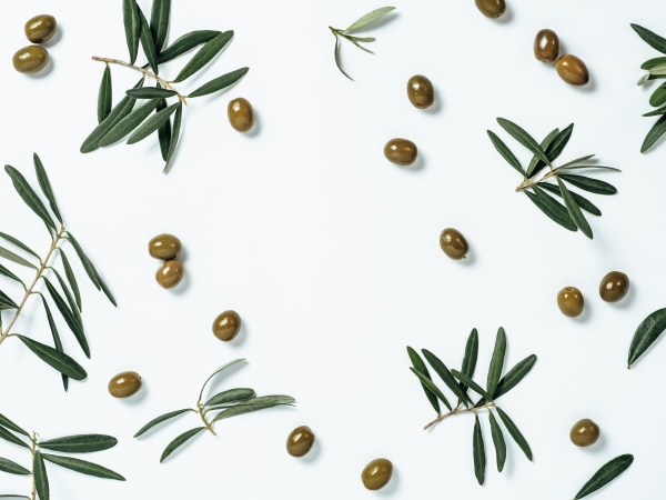 seamless pattern with green olive and