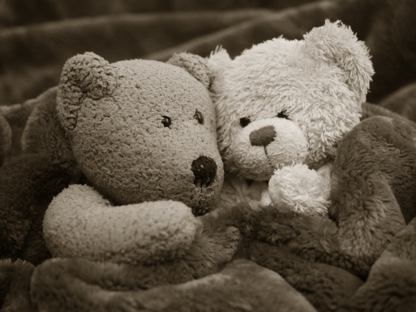 two teddy bears cuddling