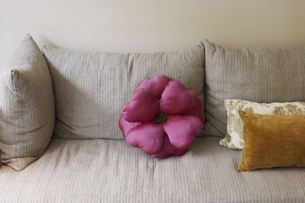 cushions on a couch