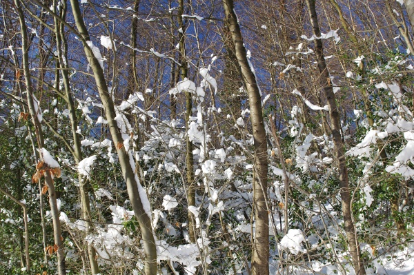 winter in bielefeld eastwestphalia lippe