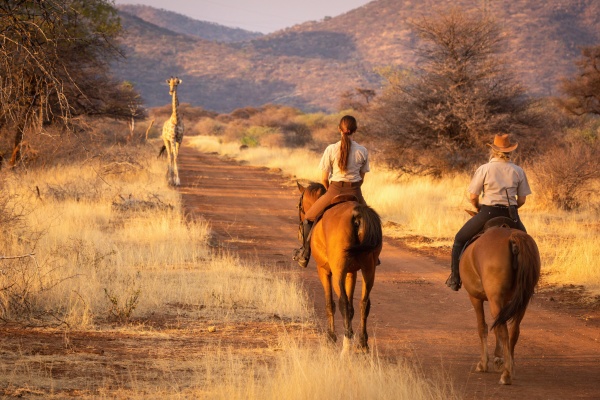 two horsewomen watch southern giraffe on