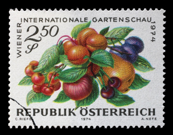 stamp printed in austria devoted