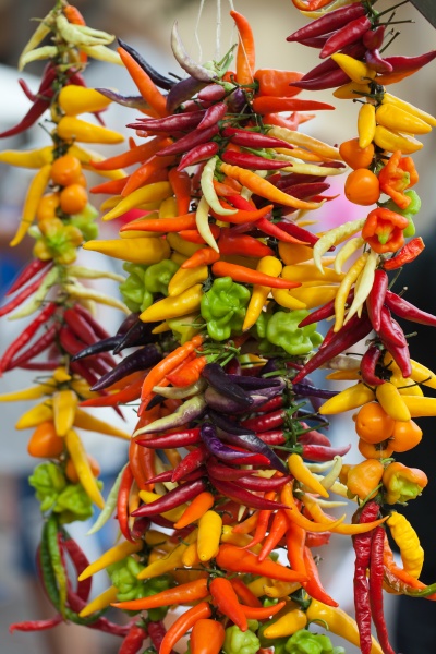multicolored hot chili peppers in majorca