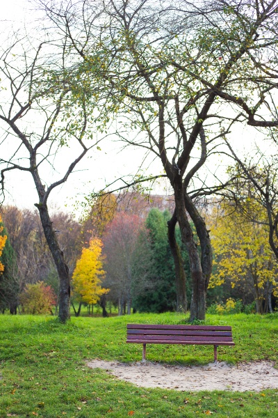 a romantic bench in a quiet