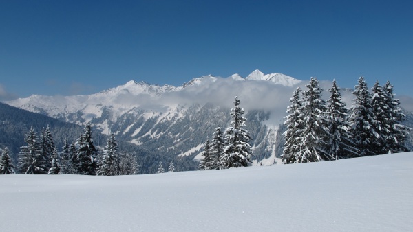 winter landscape near gstaad