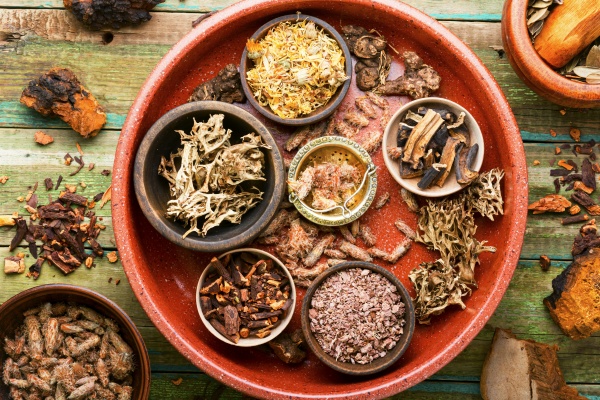 medicinal healing herbs in alternative medicine