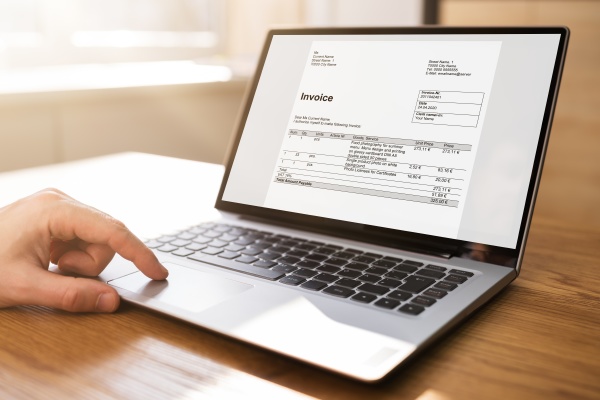 accountant using online invoice for budget