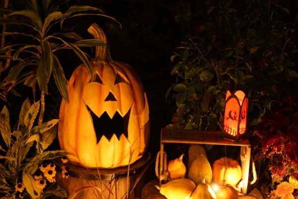 image of halloween jack lantern