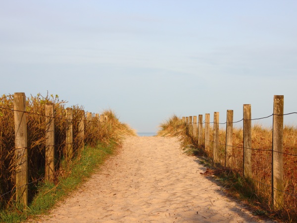 beach path with sand and side