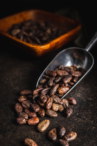 roasted cocoa beans in scoop