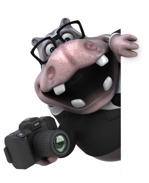 fun hippo 3d illustration