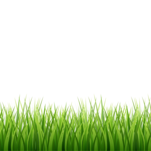 realistic green meadow grass on white
