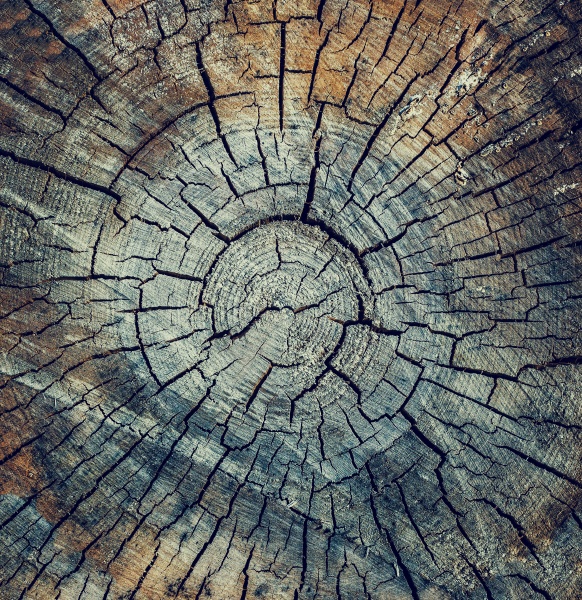 crack wood texture