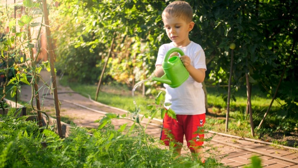 cute little toddler boy watering vegetables