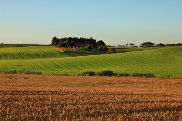 rural summer landscape in gottrup