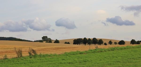 rural landscape in moen denmark