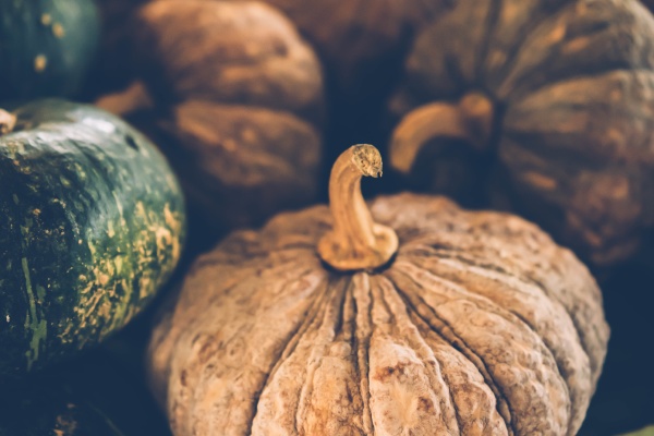 selective focus photography of pumpkins