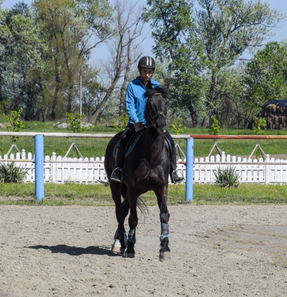 equestrian sports with teenagers horse