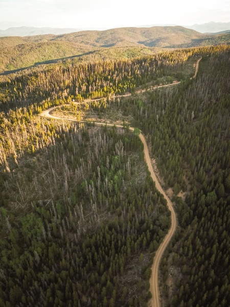 Media-id 30151355